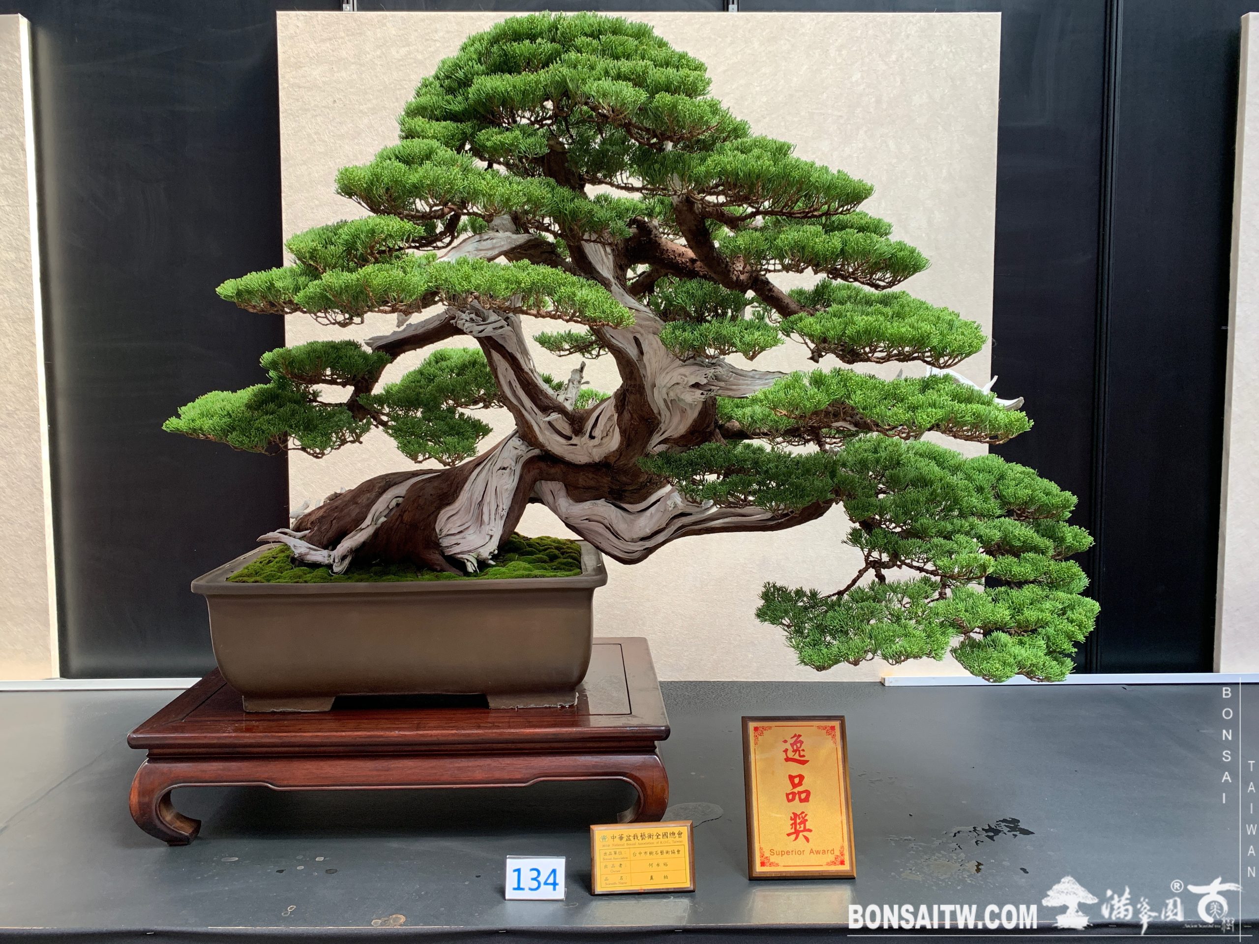 img 6824 [展覽]2019第24回全國華風盆栽展 展覽(Exhibition)