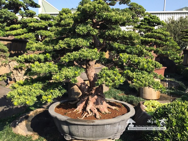 20180102 走過精彩2019，一起加油！ 我們的作品(Our Design)