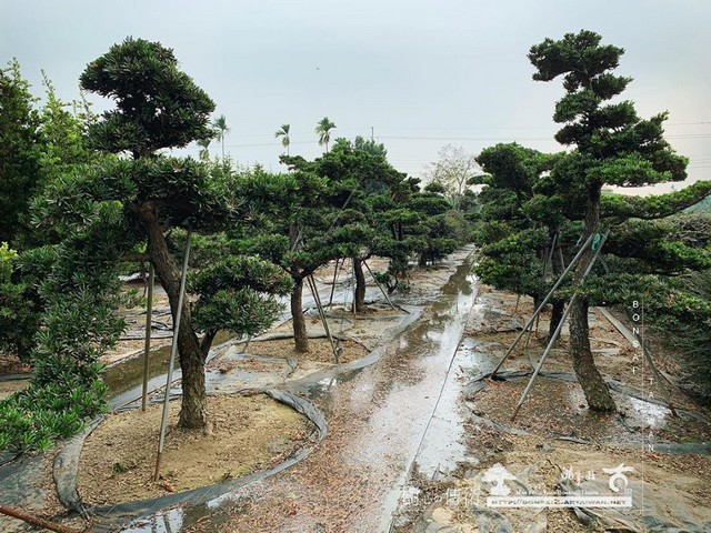 20180201 走過精彩2019，一起加油！ 我們的作品(Our Design)