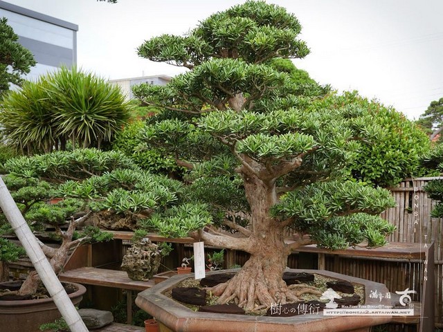 20180328 走過精彩2019，一起加油！ 我們的作品(Our Design)