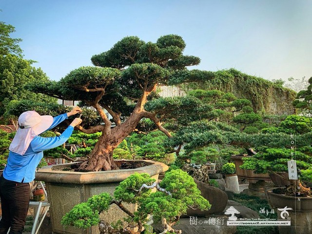 20180425 走過精彩2019，一起加油！ 我們的作品(Our Design)