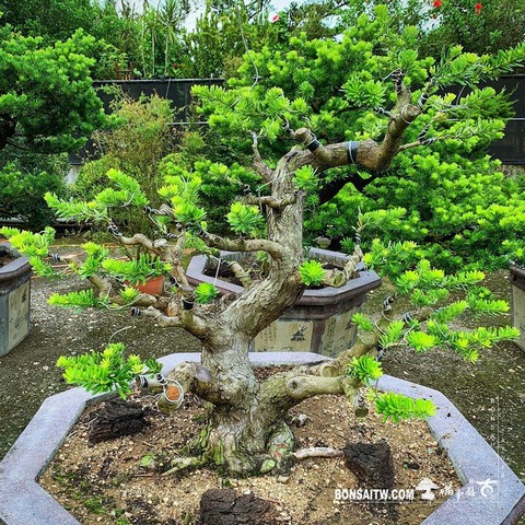 20180609 走過精彩2019，一起加油！ 我們的作品(Our Design)