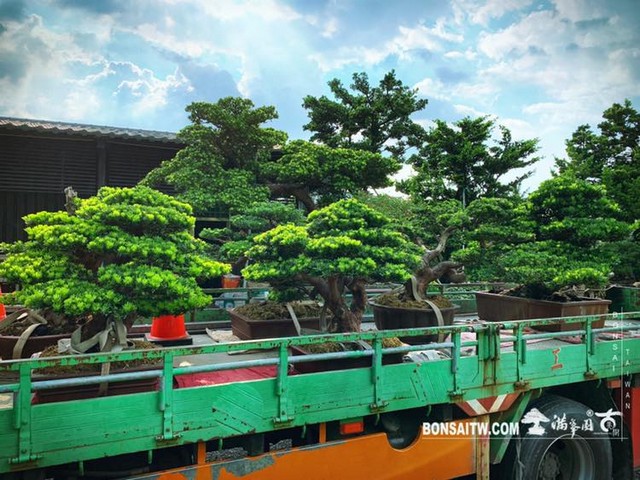 20180729 走過精彩2019，一起加油！ 我們的作品(Our Design)