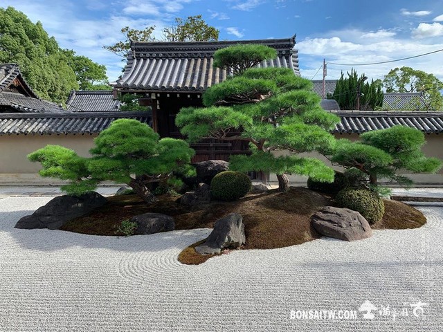 20180806 走過精彩2019，一起加油！ 我們的作品(Our Design)