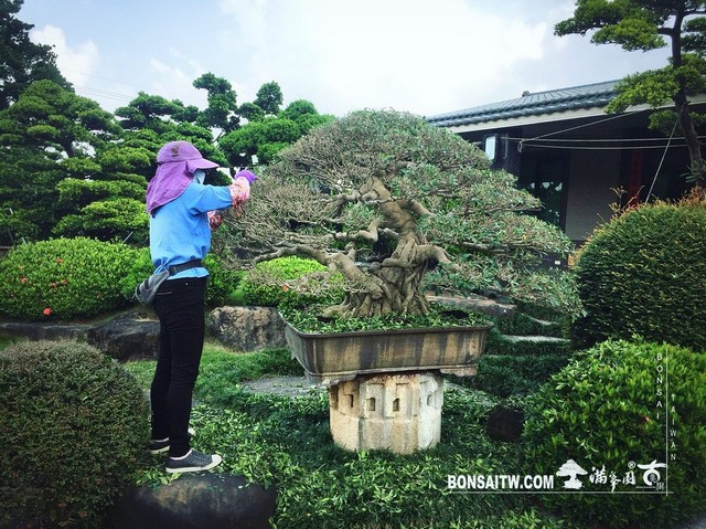 20181014 走過精彩2019，一起加油！ 我們的作品(Our Design)