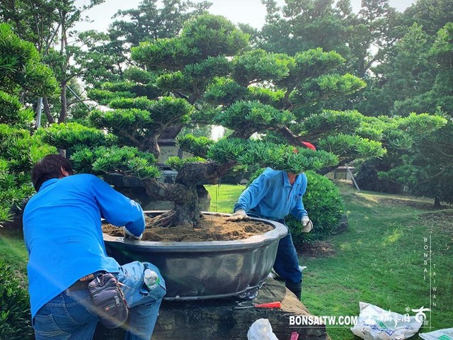 20181101 走過精彩2019，一起加油！ 我們的作品(Our Design)