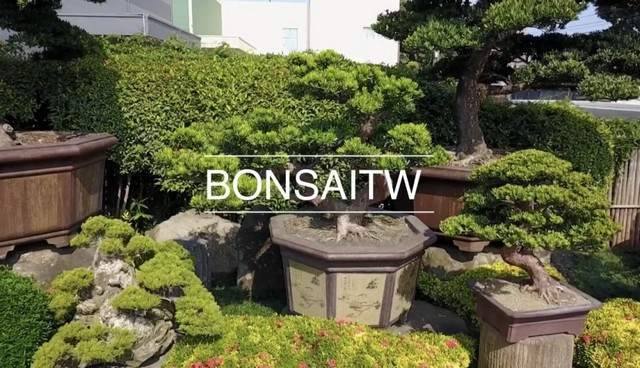 img 8020 1 [記錄] 態度看似小事，卻能導致迥然不同的結果。 影片(Video)