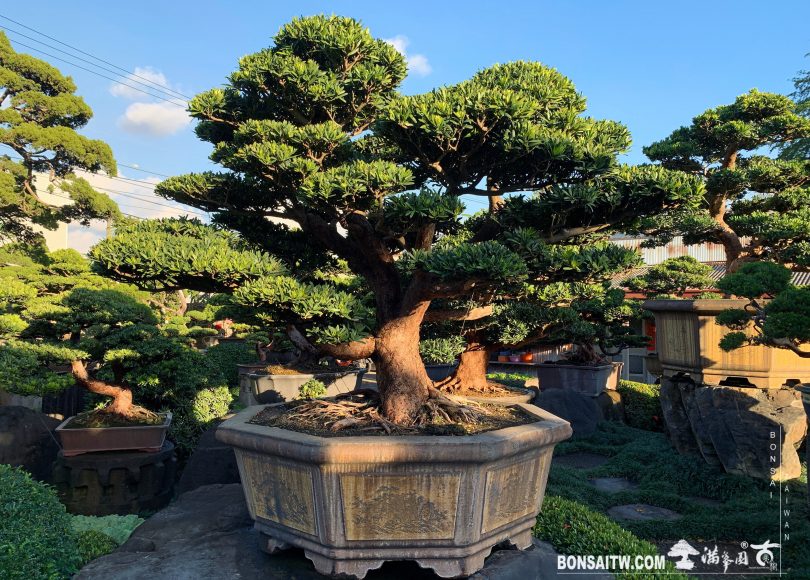 50b0dfe9 91ab 485e 9323 c21440142cd9 整理