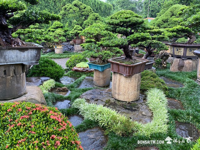 001 6 [滿峯園古美樹]園內實景(1) 我們的作品(Our Design)