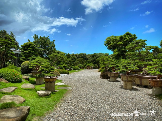 001 7 [滿峯園古美樹]園內實景(2) 我們的作品(Our Design)