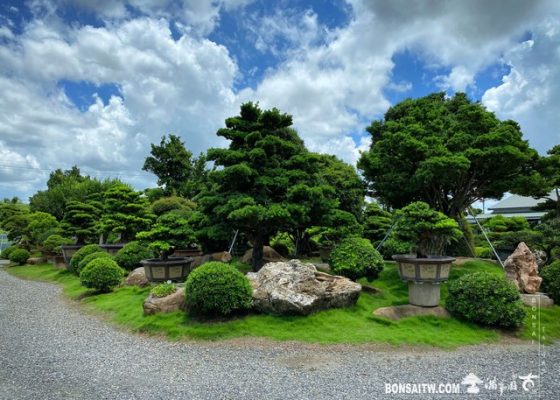 002 8 [滿峯園古美樹]園內實景(2) 園內實景