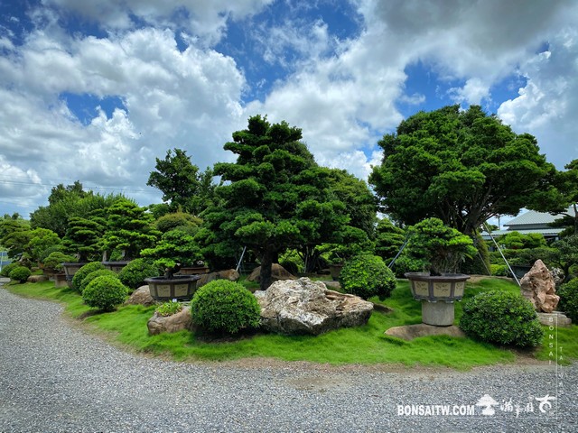 002 8 [滿峯園古美樹]園內實景(2) 我們的作品(Our Design)