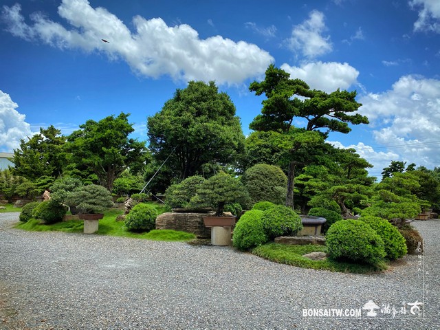 004 5 [滿峯園古美樹]園內實景(2) 我們的作品(Our Design)