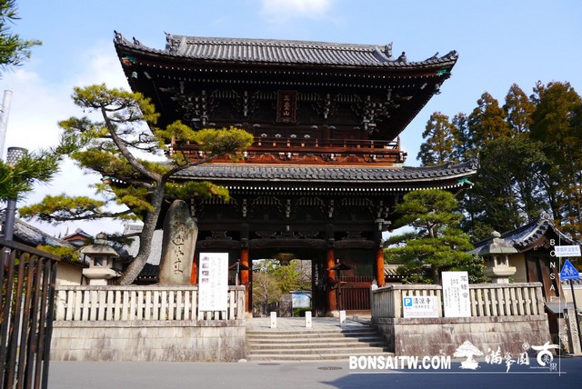 P1390278 [日本庭園]清涼寺(1) 建築與空間(architecture and space)