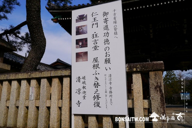 P1390281 [日本庭園]清涼寺(1) 建築與空間(architecture and space)