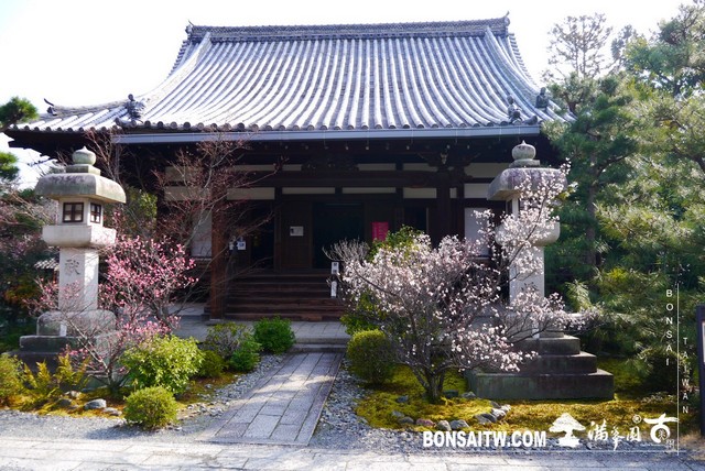 P1390316 [日本庭園]清涼寺(1) 建築與空間(architecture and space)