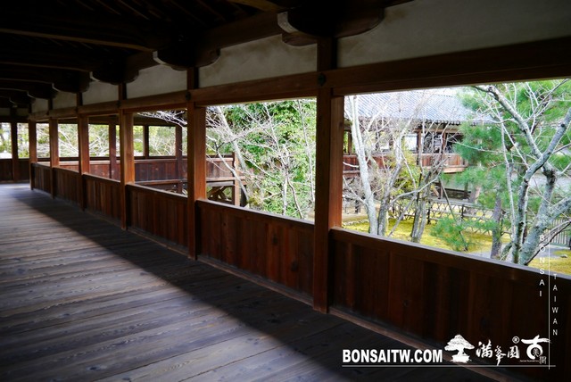 P1390343 [日本庭園]清涼寺(1) 建築與空間(architecture and space)