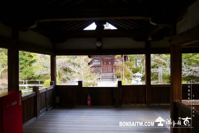 P1390347 [日本庭園]清涼寺(1) 建築與空間(architecture and space)