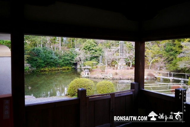P1390350 [日本庭園]清涼寺(1) 建築與空間(architecture and space)
