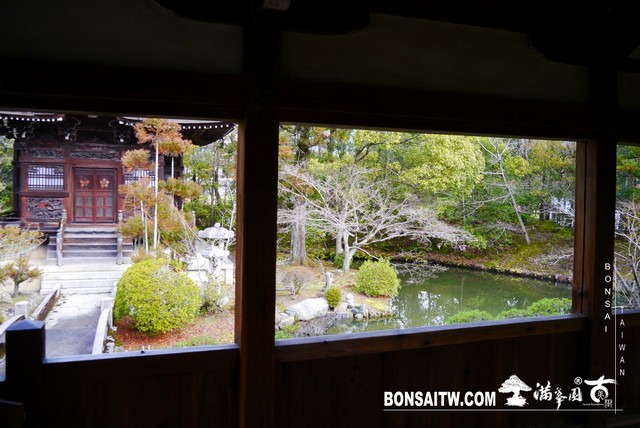 P1390354 [日本庭園]清涼寺(1) 建築與空間(architecture and space)