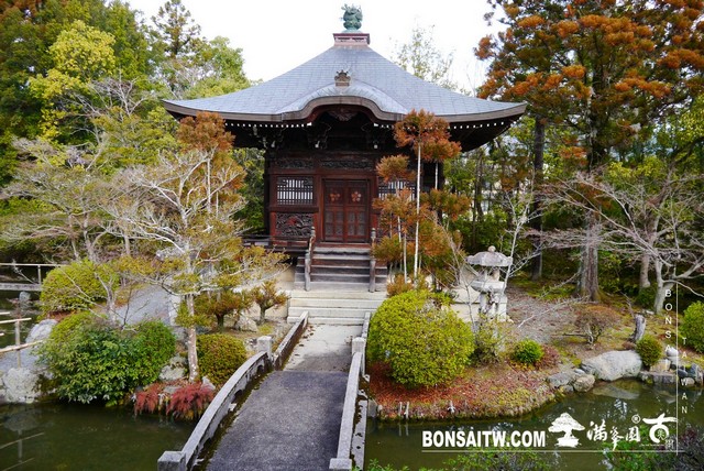 P1390361 [日本庭園]清涼寺(1) 建築與空間(architecture and space)