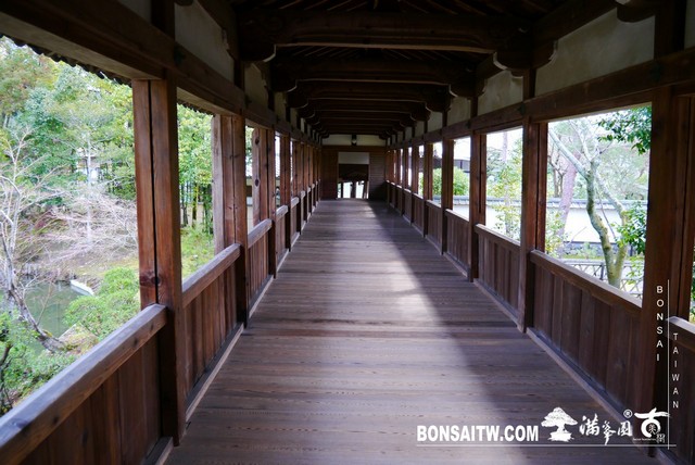 P1390365 [日本庭園]清涼寺(1) 建築與空間(architecture and space)