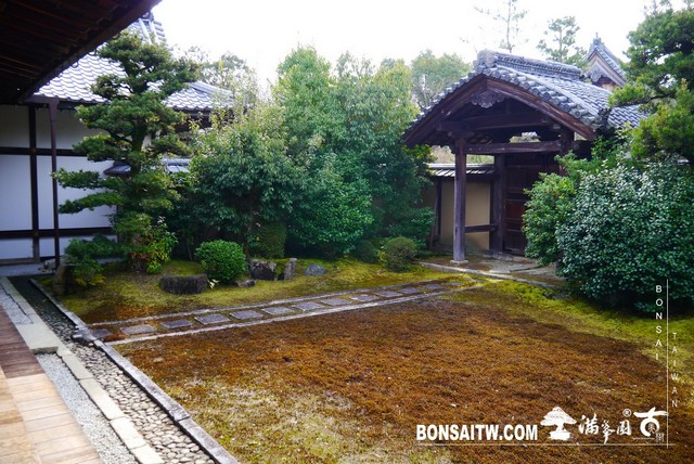 P1390382 [日本庭園]清涼寺(2)