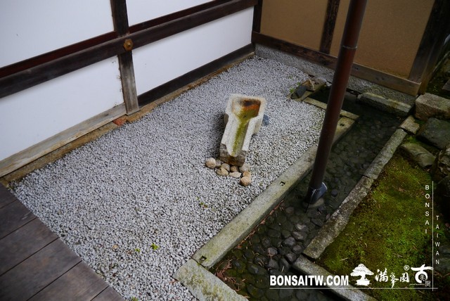 P1390383 [日本庭園]清涼寺(2)