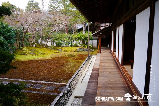 P1390395 [日本庭園]清涼寺(2)