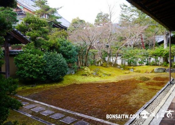 P1390400 [日本庭園]清涼寺(2) 日本庭園(Japanese Garden)