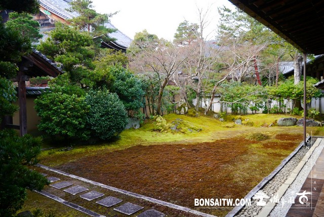 P1390400 [日本庭園]清涼寺(2)
