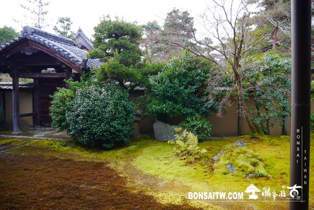 P1390415 [日本庭園]清涼寺(2)