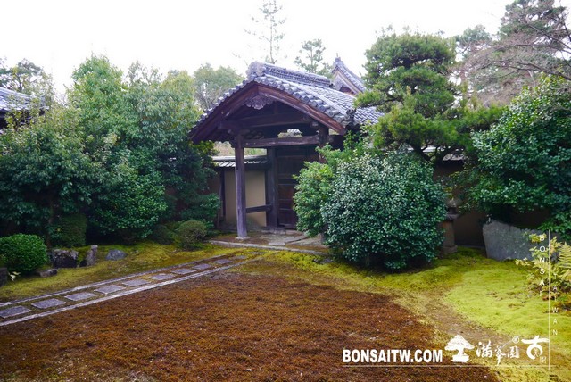 P1390417 [日本庭園]清涼寺(2)