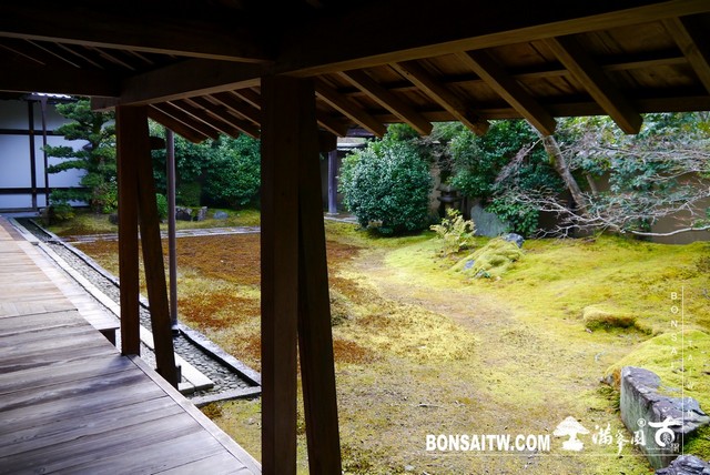 P1390419 [日本庭園]清涼寺(2)