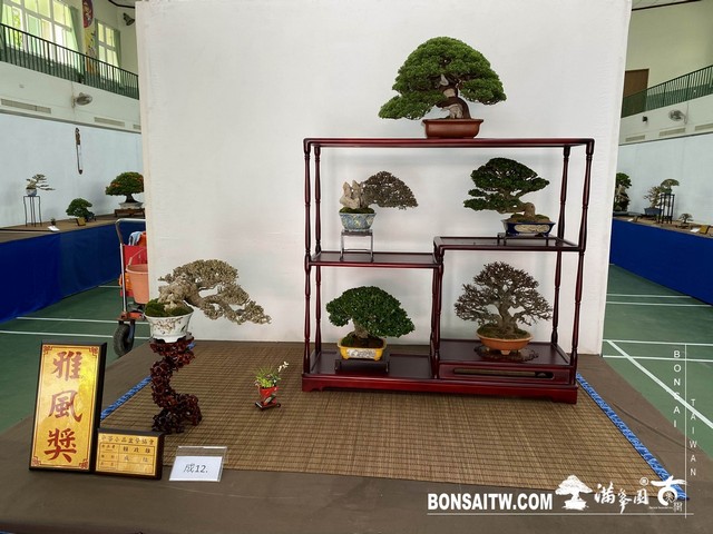 20200817 IMG 9481 [展覽]2020雅風展(1)．美樹分享