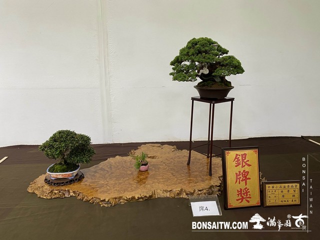 20200817 IMG 9487 [展覽]2020雅風展(1)．美樹分享