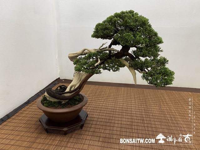 20200817 IMG 9513 [展覽]2020雅風展(1)．美樹分享