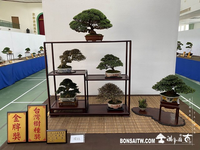 20200817 IMG 9514 [展覽]2020雅風展(2)．美樹分享