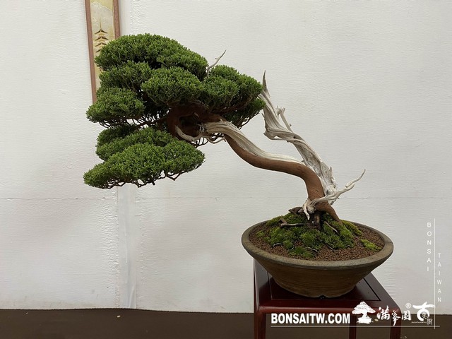 20200817 IMG 9529 [展覽]2020雅風展(2)．美樹分享