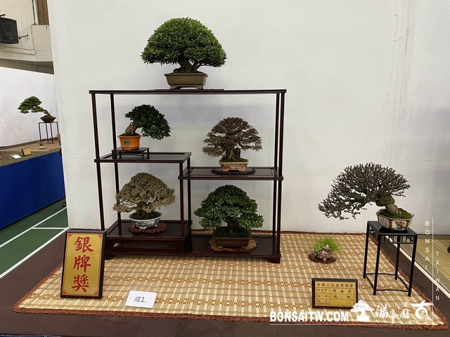 20200817 IMG 9537 [展覽]2020雅風展(2)．美樹分享