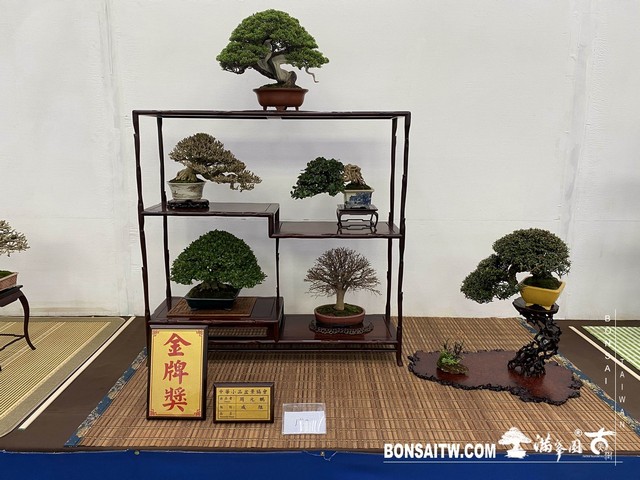 20200817 IMG 9543 [展覽]2020雅風展(3)．美樹分享