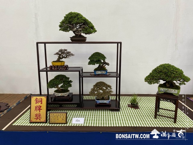 20200817 IMG 9545 [展覽]2020雅風展(3)．美樹分享