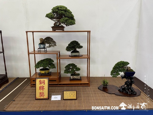 20200817 IMG 9552 [展覽]2020雅風展(3)．美樹分享