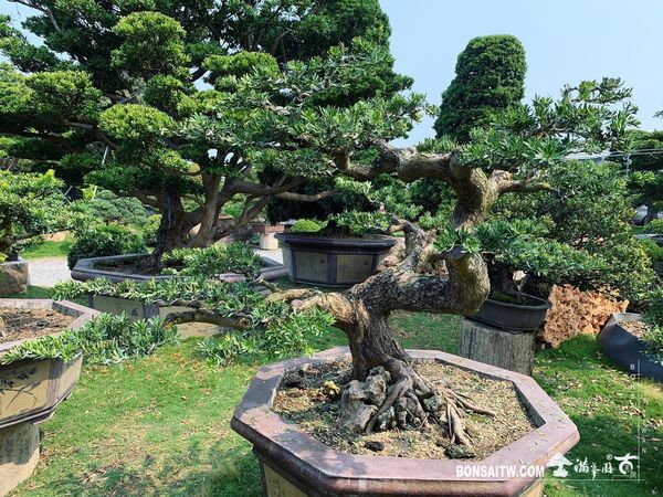 20200320 走過精彩2020，一起加油！ 我們的作品(Our Design)