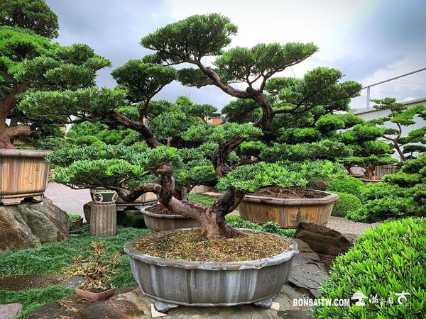 20200524 走過精彩2020，一起加油！ 我們的作品(Our Design)