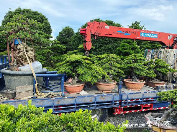 20200725 走過精彩2020，一起加油！ 我們的作品(Our Design)