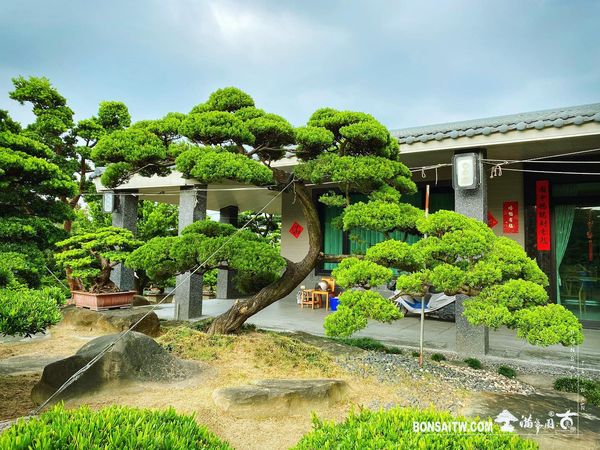 20200916 走過精彩2020，一起加油！ 我們的作品(Our Design)