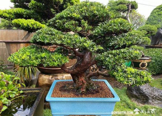 20201211 走過精彩2020，一起加油！ 回顧