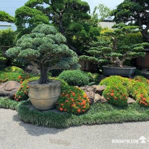 透天露台(20坪以上)一式