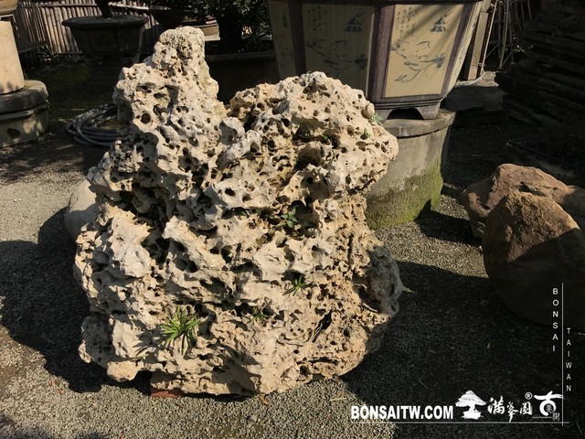 007 2 [樹石共生]等待，是為了下一次的蛻變(37) 蛻變專題(The plan)